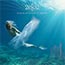 Image of Contemporary Instrumental from Evolution Music Catalog catalog