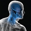 Image of Neck Jaw & Head from At Peace Media  catalog