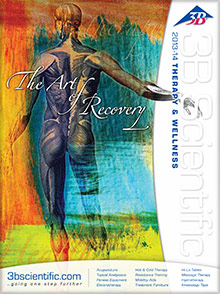Image of hand therapy supplies from Massage & Therapy @ 3B Scientific catalog