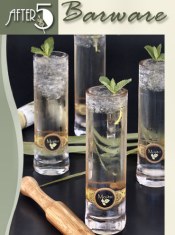 personalized barware