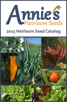 Picture of heirloom vegetable seeds from Annie's catalog