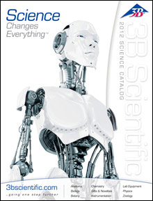 Picture of human anatomical model from Biology @ American 3B Scientific catalog