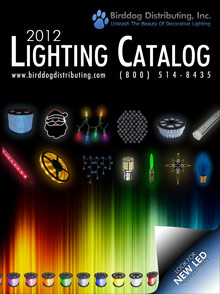 Picture of led lighting products from LED Lighting from Birddog Distributing catalog