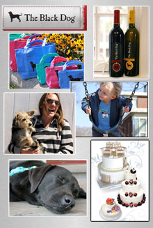 Picture of the black dog from The Black Dog catalog
