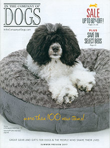 Image of cool dog leashes from In The Company of Dogs catalog