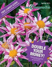 Picture of perennial flower catalog from Dutch Bulbs by Van Bourgondien catalog Picture of perennial flower catalog from Dutch Bulbs by Van Bourgondien catalog