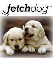 Image of dog car seat cover from FetchDog.com catalog