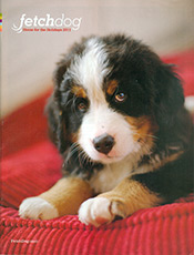 Image of dog car seat cover from FetchDog.com catalog