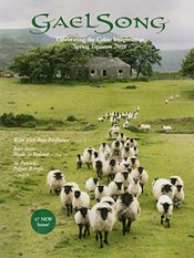 Image of gifts from Ireland from GaelSong catalog