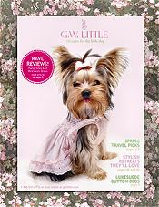 trendy pet fashions