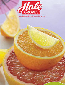 Picture of Florida oranges from Hale Groves catalog