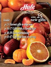 Image of Florida oranges from Hale Groves catalog