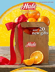 Image of Florida oranges from Hale Groves catalog