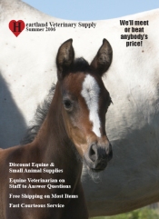 equine supplies