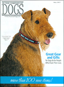 Image of senior pet supplies from In The Company of Dogs catalog
