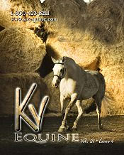 Image of horse supplies from KV Vet Supply-Equine Catalog catalog