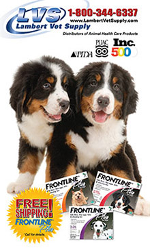 Picture of dog joint health from Lambert Vet Supply catalog