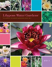 Picture of water garden supplies from Lilypons catalog
