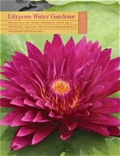 Picture of Lilypons Water Gardens catalog