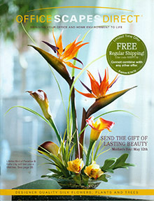 Picture of silk floral arrangements from Office Scapes catalog