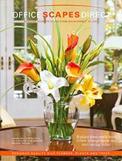 Picture of silk floral arrangements from Office Scapes catalog Picture of silk floral arrangements from Office Scapes catalog