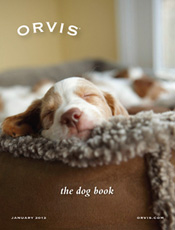 Picture of dog catalog from Orvis catalog
