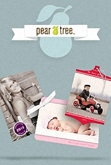 Picture of Pear Tree Greetings from Pear Tree Greetings catalog Picture of Pear Tree Greetings from Pear Tree Greetings catalog