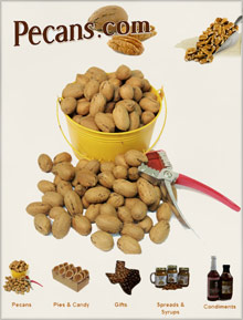 Picture of pecans from Pecans catalog