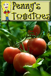 Picture of tomato seed catalog from Penny's Tomatoes catalog