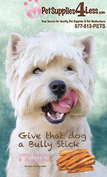 Picture of discount pet medicine from Pet Supplies 4 Less catalog