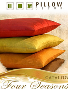 Picture of modern or contemporary throw pillows from Pillow Decor catalog