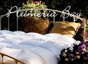 Image of fine european linens from Plumeria Bay catalog
