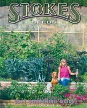 Picture of vegetable seed catalogs from Stokes Seeds catalog Picture of vegetable seed catalogs from Stokes Seeds catalog
