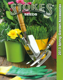 Picture of vegetable seed catalogs from Stokes Seeds catalog