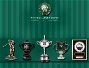 image of trophy golf awards from Winner's Award Group catalog