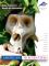 Picture of human anatomical model from Biology @ American 3B Scientific catalog