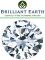 Brilliant Earth