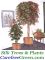 CarefreeGreen.com