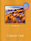 Picture of Coldwater Creek from Coldwater Creek catalog