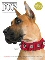 Picture of leather dog harness from In The Company of Dogs catalog