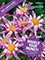 Picture of perennial flower catalog from Dutch Bulbs by Van Bourgondien catalog