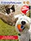 Picture of pet health solutions from EntirelyPets.com catalog