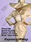 Picture of women's skirt suits from Expressurway catalog
