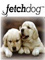 Picture of dog car seat cover from FetchDog.com catalog