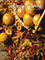 Picture of valencia oranges from Harvey's Groves catalog