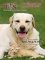 Heartland Veterinary Cat & Dog Supply