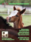 Picture of equine supplies from Heartland Vet Supply catalog