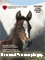 Picture of equine supplies from Heartland Vet Supply catalog