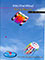 Picture of stunt kites from Into The Wind catalog