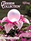 Picture of home decor online store from Lakeside Collection catalog